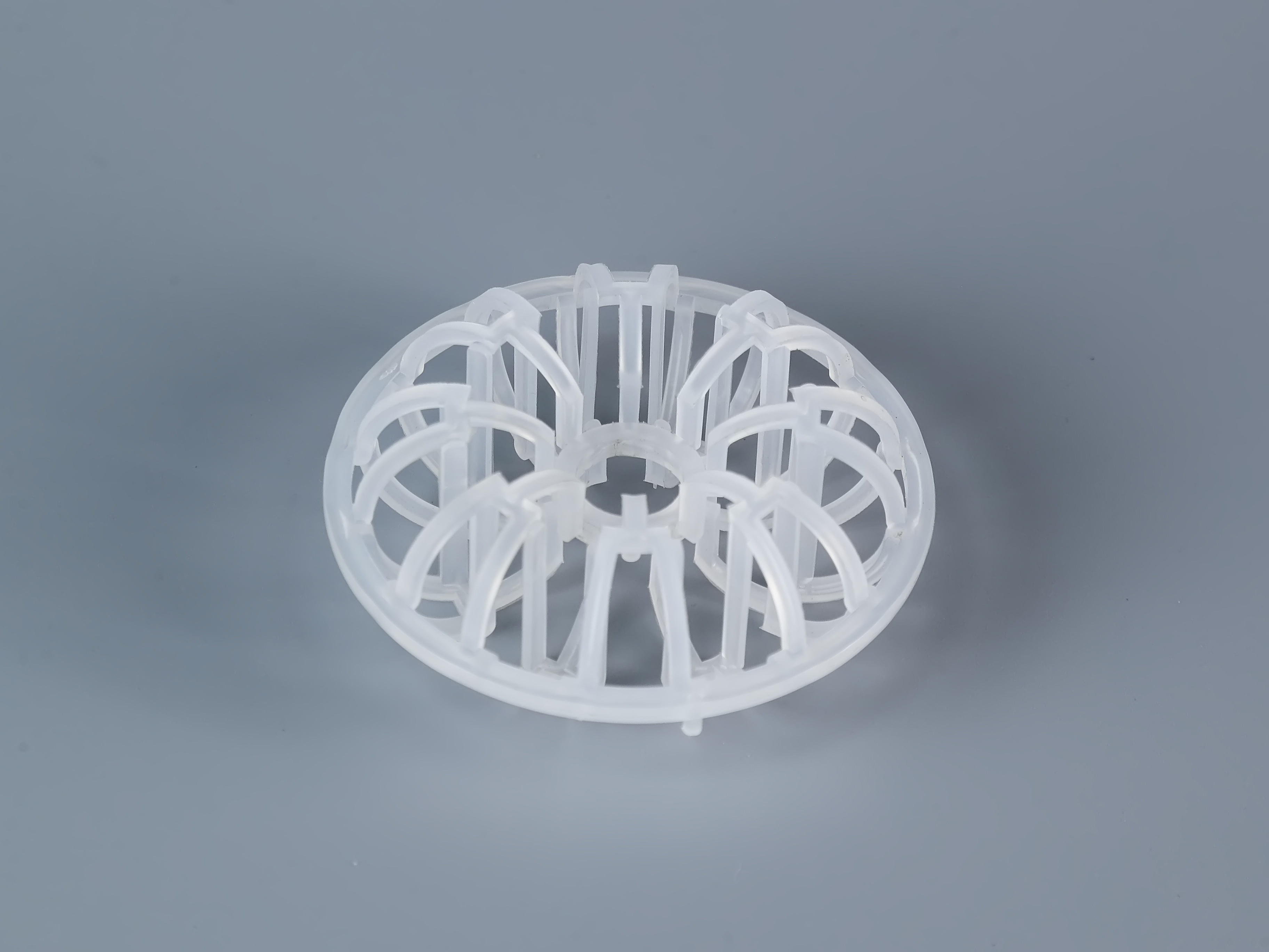 泰勒花环 (1).jpg