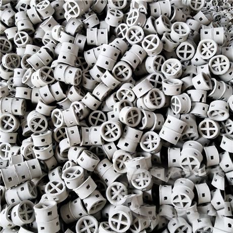 陶瓷阶梯环 cascade ring1 (5).png